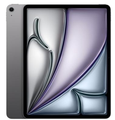 APPLE - iPad Air 11.0" 256GB M3 w/ Wi-Fi - Sp. Grey